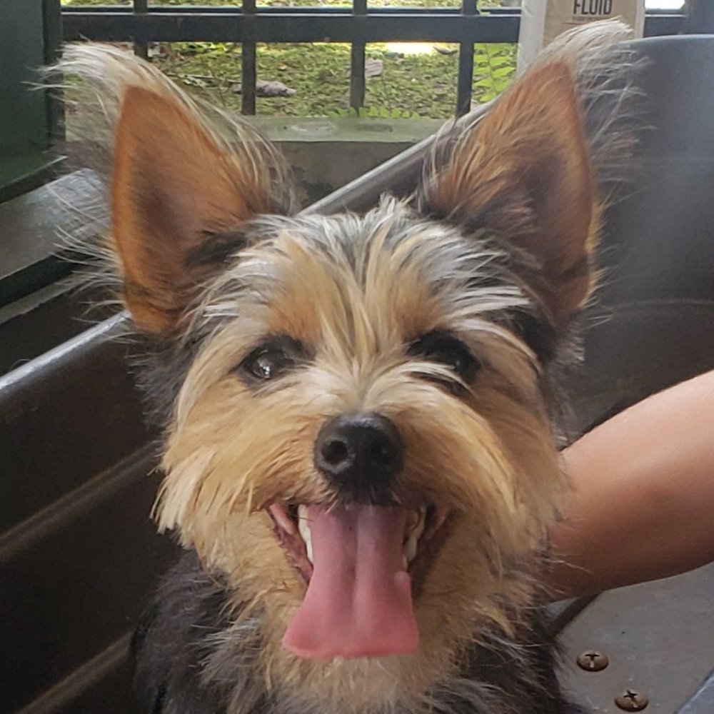 Meet your Posher, Tanya